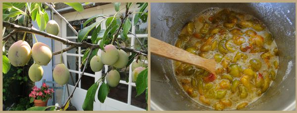 compo-prunes.jpg