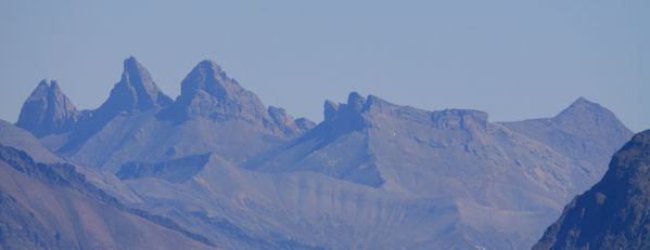 110828 Grande Moucherolle 039