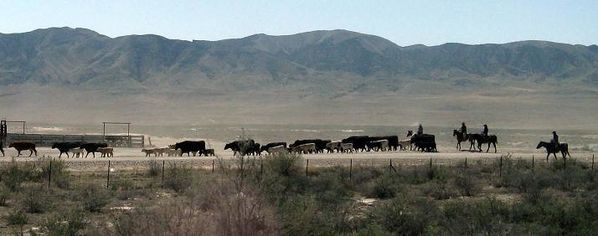 06-mai-2008-Salt-Lake-City-14.JPG