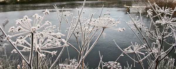etang3613.jpg