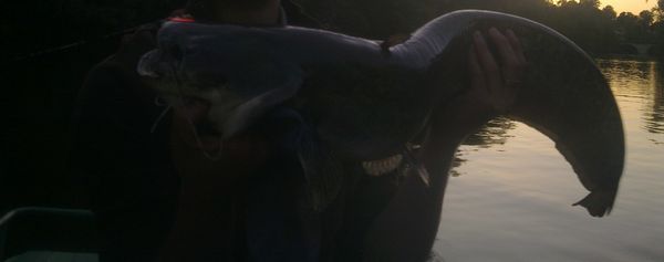 Tout pour la pêche le chanvre