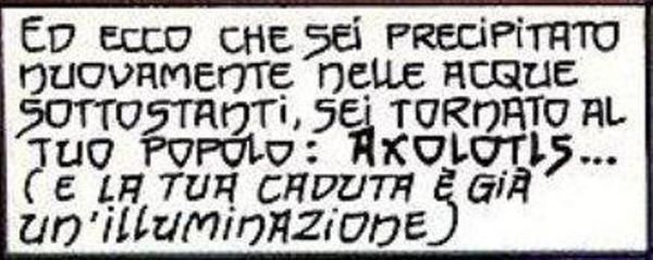 Caza--38.jpg