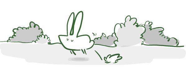 lapinpin.jpg