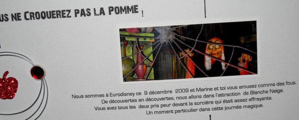 vous ne croquerez aps la pomme a4 SandyDub detail