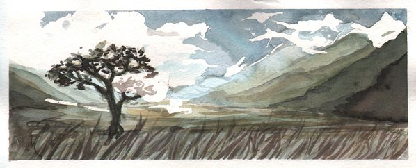paysage-speed.jpeg