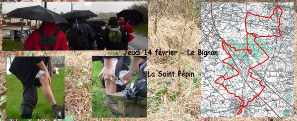 2013 02 marcheur compo blog 2
