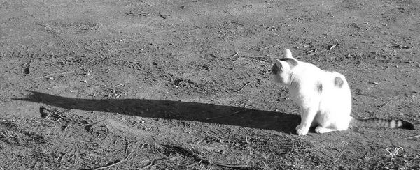 Site de rencontre entre blancs