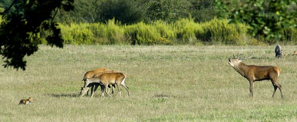 Site de rencontre.pf