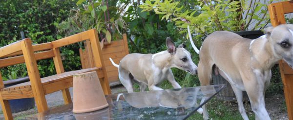 Photo 082