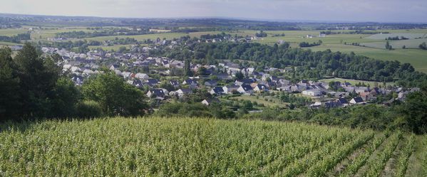 Saint Aubin de Luigné