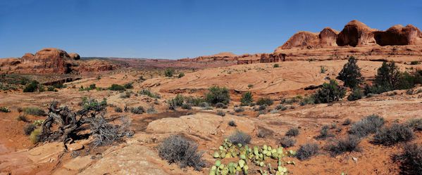 Corona-trail-pano-copie-1.jpg