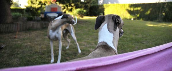 Photo 094