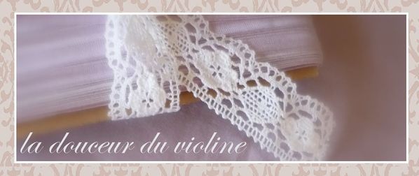 broderie violine1-1