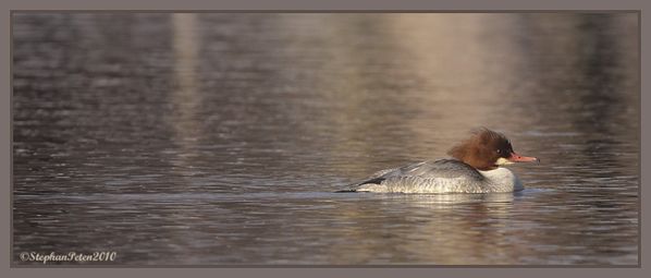 HarlebievreDyle.14.01-10.jpg