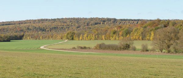 petit-pano-moncel-automne12.jpg