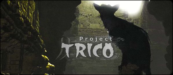 featureprojecttrico.jpg