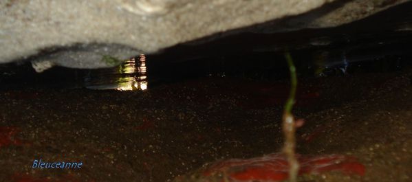 Sous un rocher une grotte
