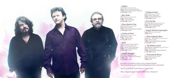Sylvain Luc artwork - DIGIPACK - interieur