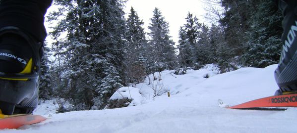 fond-fecle-26-dec-005.jpg