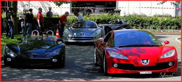 Week-end-2013-concept-car-12-copie-1.jpg