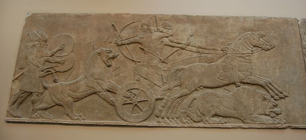 Ninive nineveh bas relief assyrie