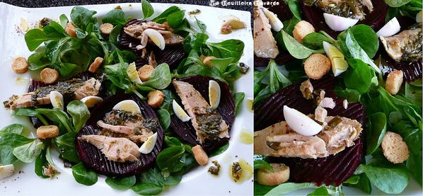 salade-de-mache-aux-cipis-debetteraves.JPG.1.jpg