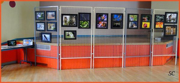 expo photo Magny-Vernois-02