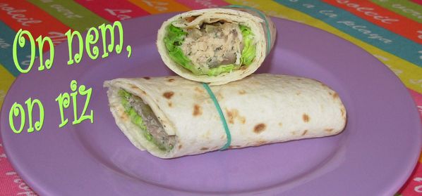 Wraps de rillettes de saumon et fenouil confits1