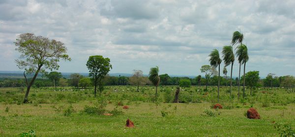 Bresil Bonito Vue Fazenda 15