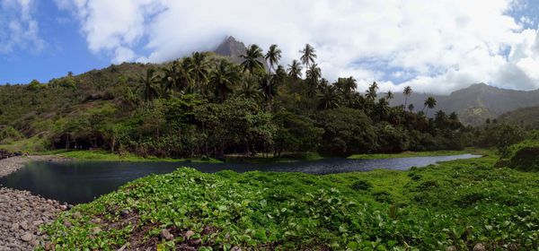 Marquises Hiva Oa Atuona marais