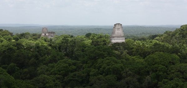 vue-Tikal-copie-1.jpg