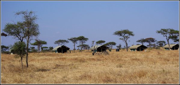 Camp dans le Serengeti