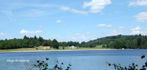 DSCF0333