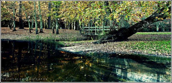 landscpae (MIOS, gironde) (1)