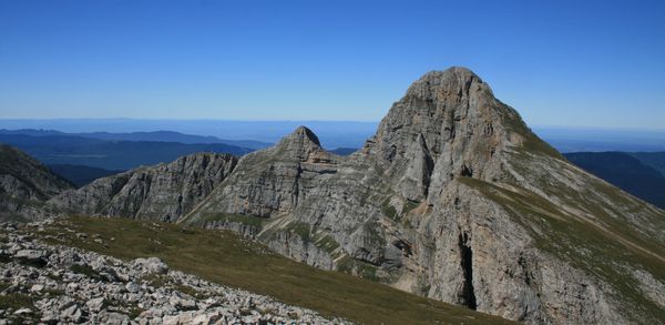 110828 Grande Moucherolle 043