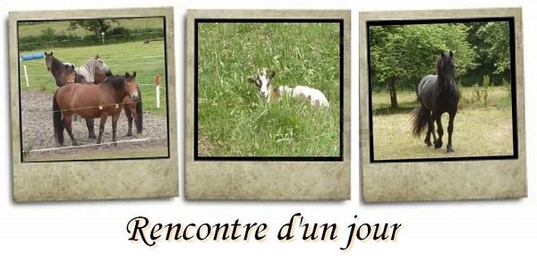 Rencontre d'un jour belgique