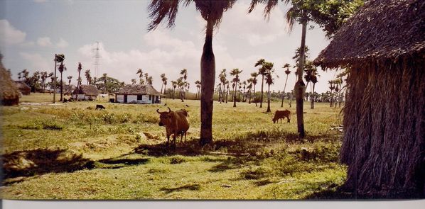 cuba