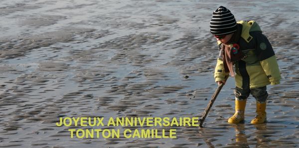 2010 03 7705-1