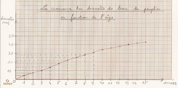 courbe-croissance.jpg
