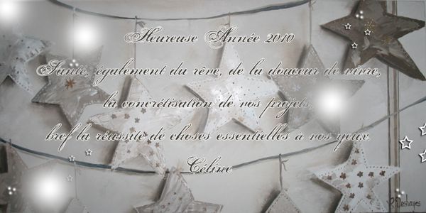 Bonne-annee-2010.jpg