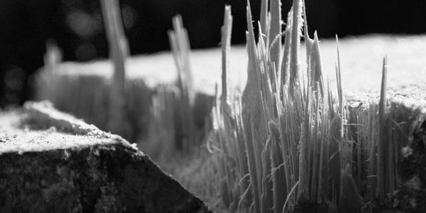 reportage-photos-par-agnes-g-photographe 9879