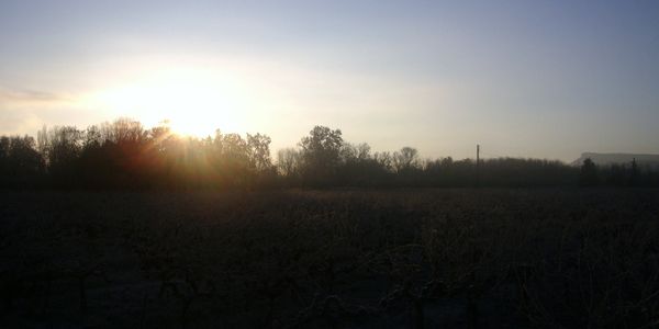 IMGP8426
