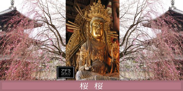 nara sakura buddha tx fb