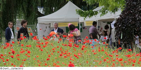 08-Fete-de-l-ete-025.jpg