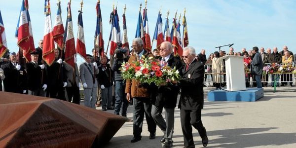 8sere.jpg