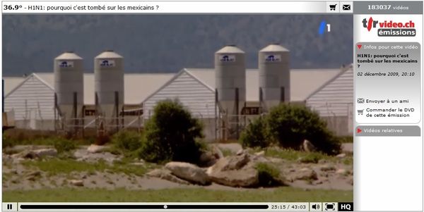 grippe-porcine-au-mexique.jpg