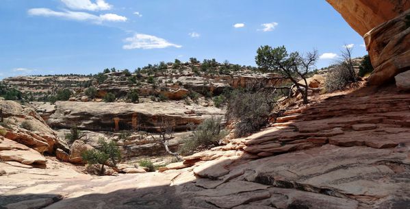 Natural-Bridges-N-Mt-Armstrong-canyon.jpg