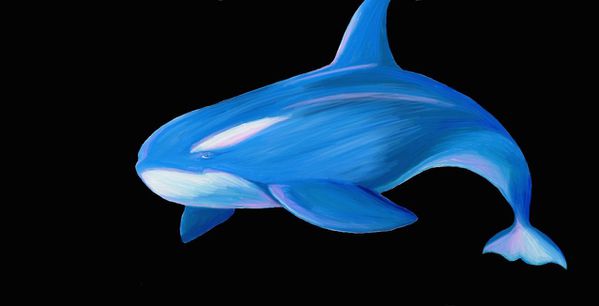orque-bleu.jpg