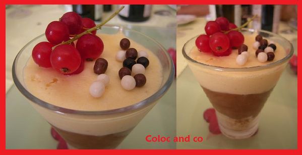 mousse-deux-choco.jpg