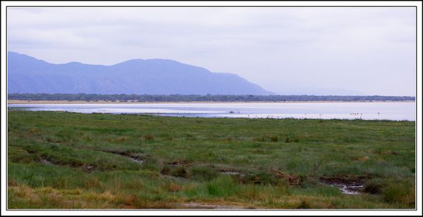 Paysage du parc Manyara